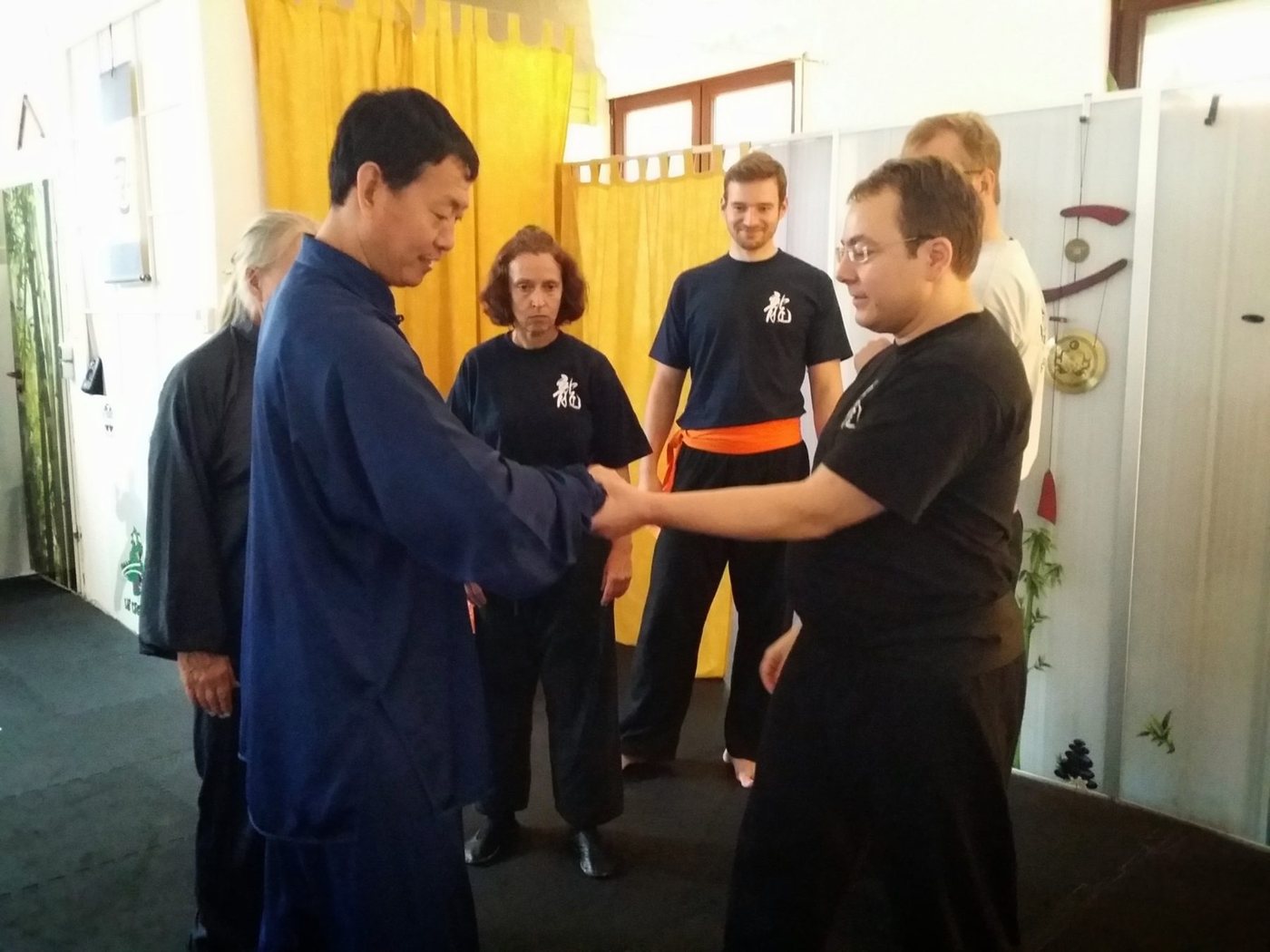 Professor Hu · 2013